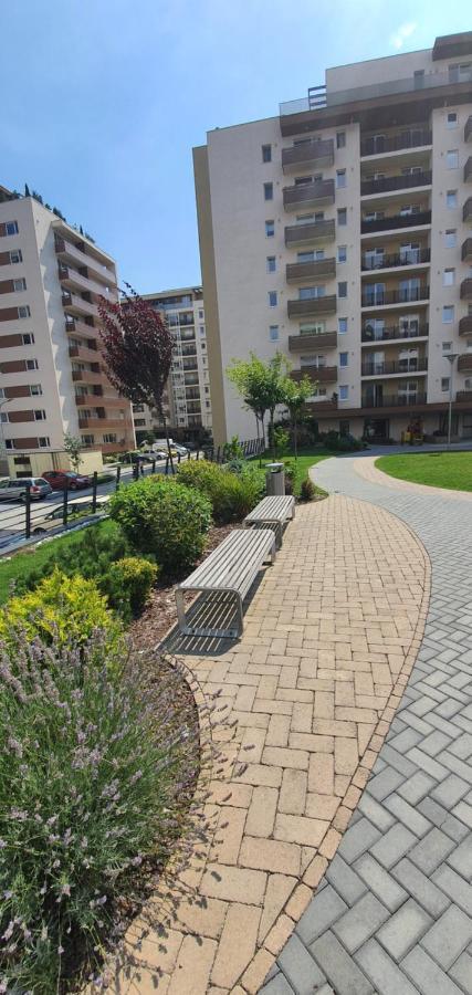 Apartment Alios Lux Braşov Esterno foto