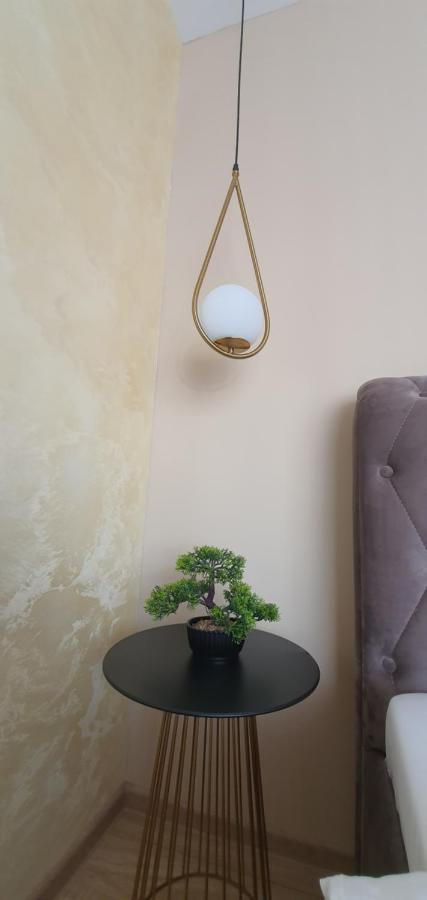 Apartment Alios Lux Braşov Esterno foto